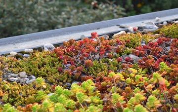 the cost of Aspull Common green roof installation