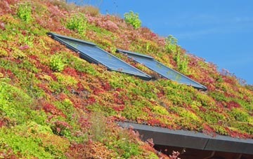 Aspull Common living roof systems