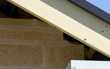 soffit repair Aspull Common