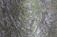 Aspull Common fibreglass roof work